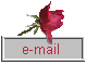 MailRose